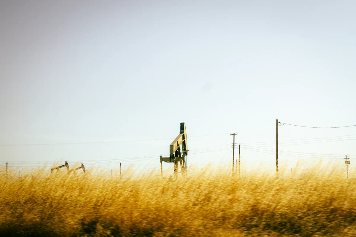 Oil pumpjacks in a field of tall golden grass