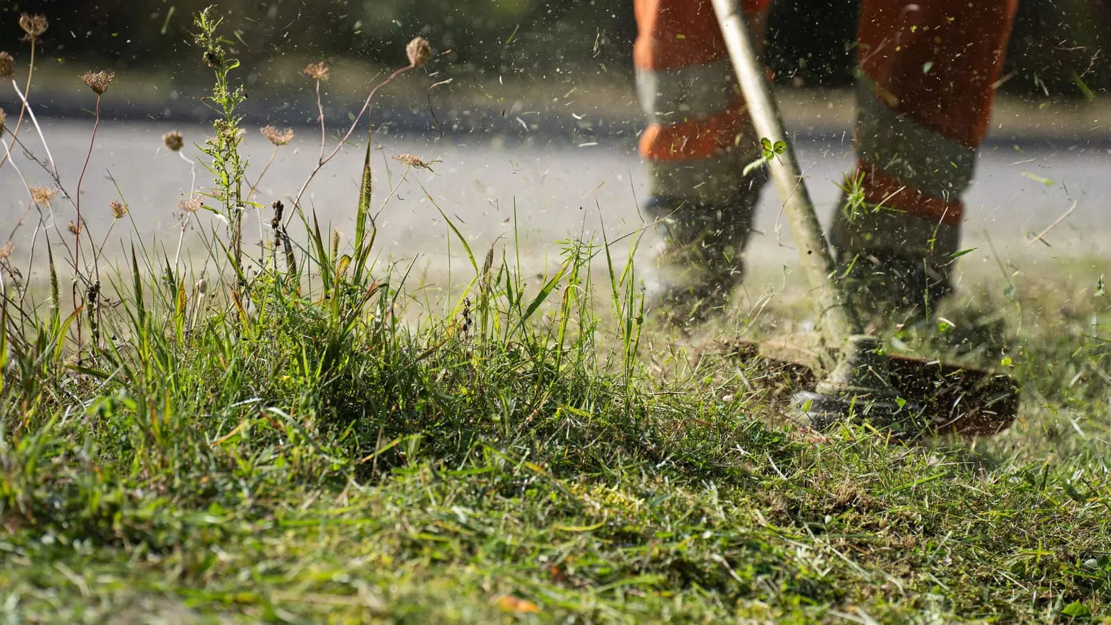 Grounds crew member in high-visibility gear cutting grass with a string trimmer